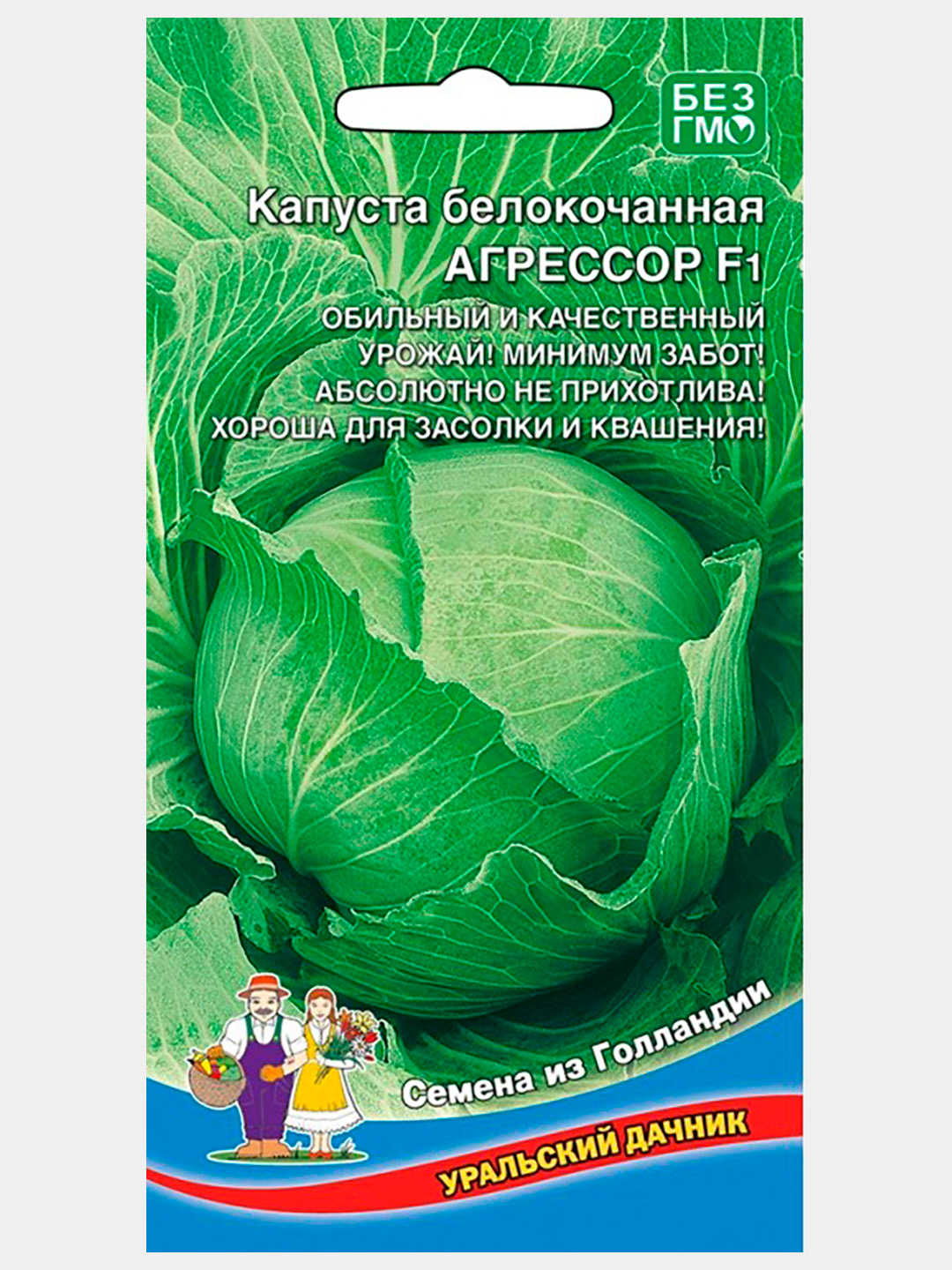 Капуста агрессор f1 описание. Капуста Слава Грибовская 231. Капуста Слава Грибовская. Капуста б/к "Агрессор" f1. Капуста б/к Агрессор f1 Голландия.