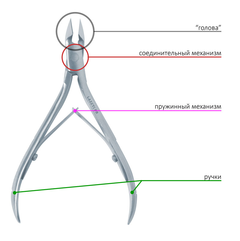 Как выбрать щипцы. Срез кутикулы ножницами схема. Срез кутикулы кусачками схема. Из чего состоят кусачки для кутикулы. Срез кутикулы щипчиками схема.