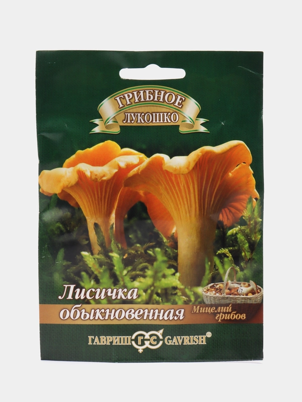 Мицелий Лисички на зерновом субстрате, 15 мл купить по цене 159.19 ₽ в ...