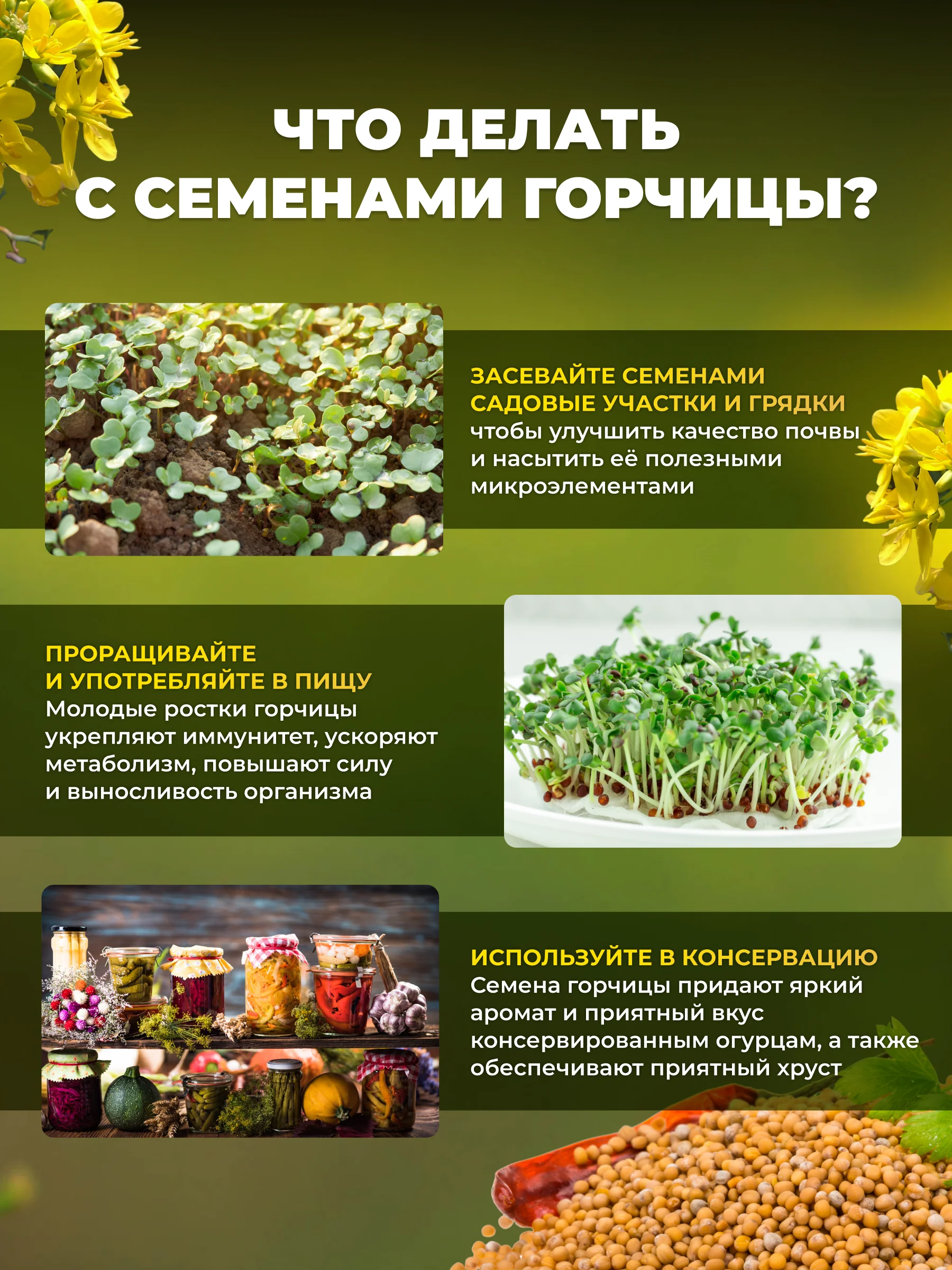 Горчица семена Сила Суздаля, сидерат, удобрение, 1 кг