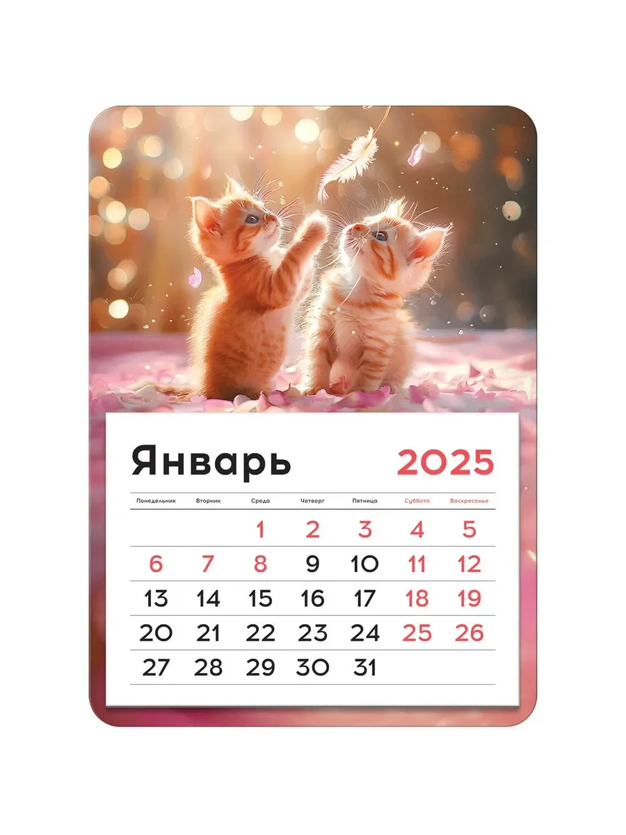 Отрывной магнитный календарь с котятами на 20...